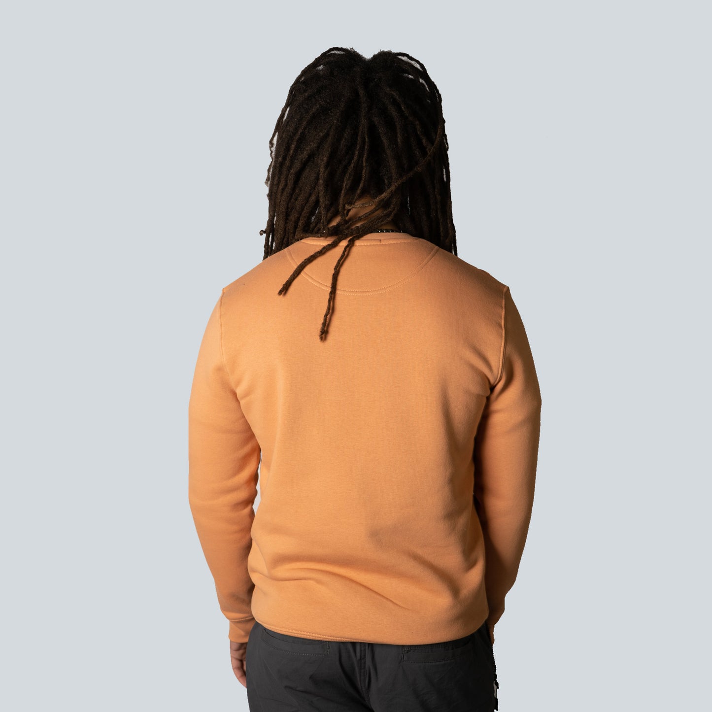 GLASS GARDEN SWEATSHIRT - PEACH