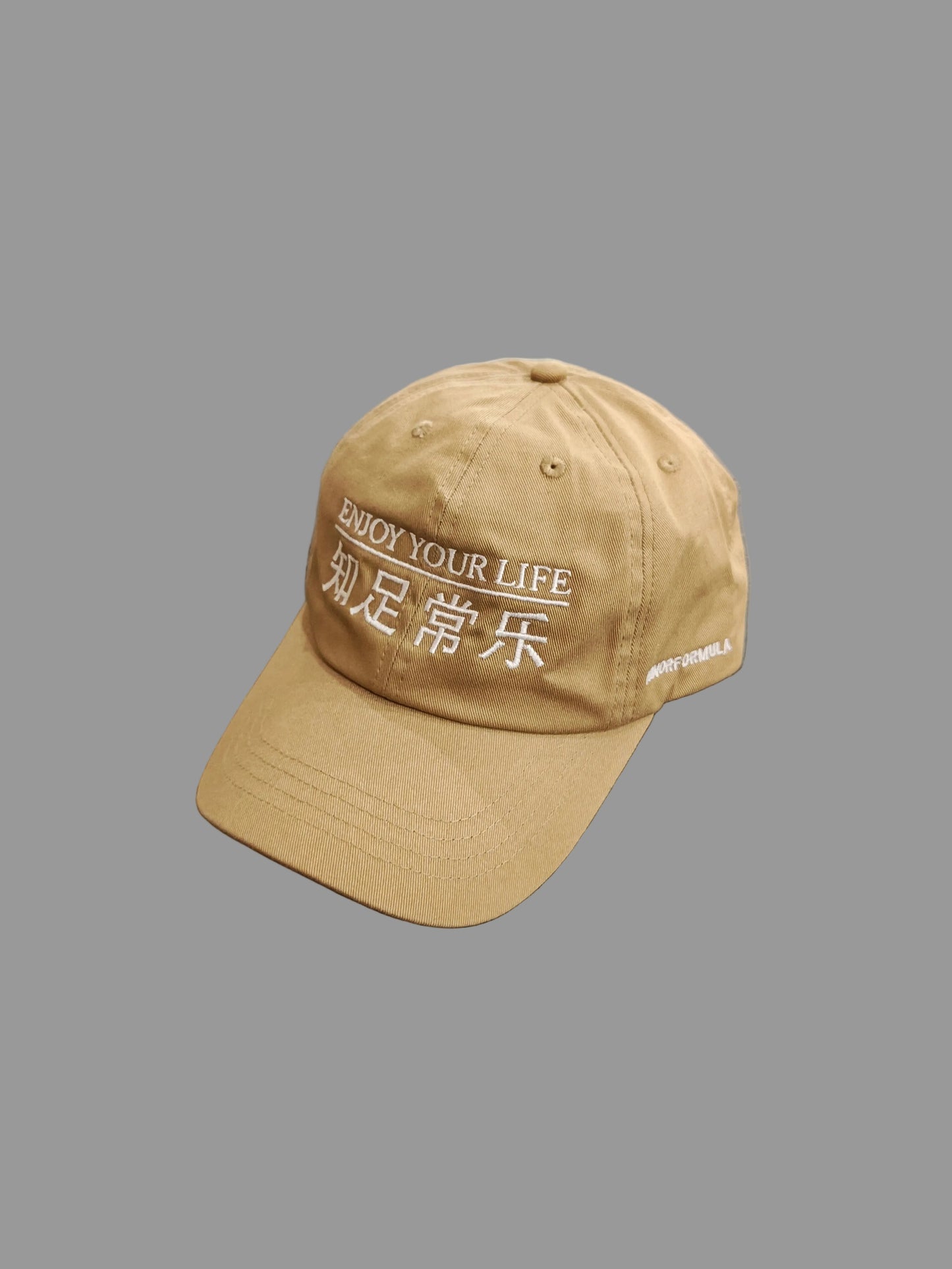 ENJOY YOUR LIFE 6 PANEL - TAN